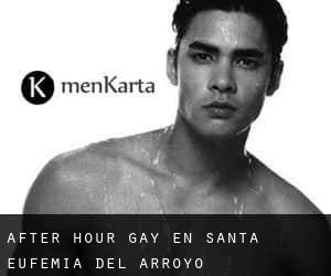 After Hour Gay en Santa Eufemia del Arroyo