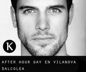 After Hour Gay en Vilanova d'Alcolea