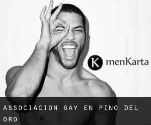 Associacion Gay en Pino del Oro