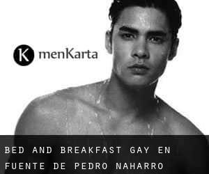 Bed and Breakfast Gay en Fuente de Pedro Naharro