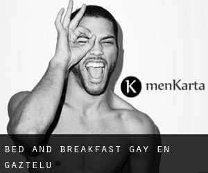 Bed and Breakfast Gay en Gaztelu