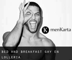 Bed and Breakfast Gay en L'Olleria
