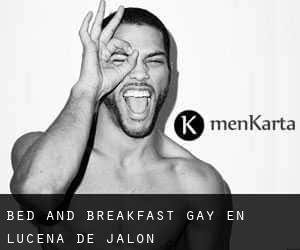 Bed and Breakfast Gay en Lucena de Jalón