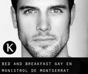 Bed and Breakfast Gay en Monistrol de Montserrat