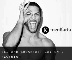 Bed and Breakfast Gay en O Saviñao