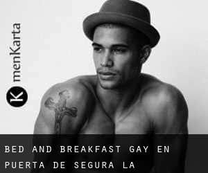 Bed and Breakfast Gay en Puerta de Segura (La)