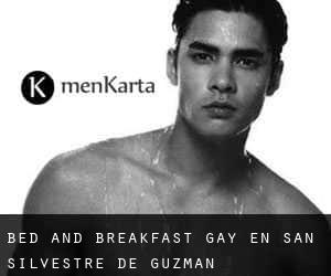Bed and Breakfast Gay en San Silvestre de Guzmán