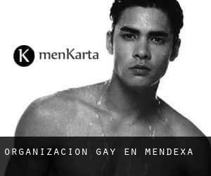 Organización Gay en Mendexa