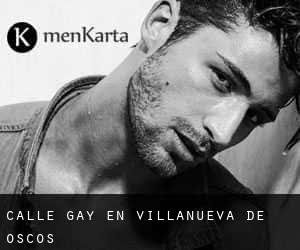 Calle Gay en Villanueva de Oscos