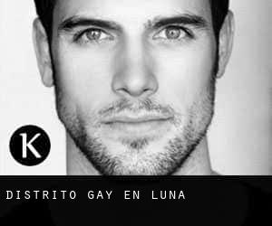 Distrito Gay en Luna