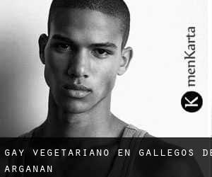 Gay Vegetariano en Gallegos de Argañán
