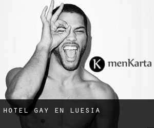 Hotel Gay en Luesia