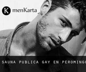 Sauna Pública Gay en Peromingo