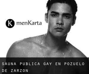 Sauna Pública Gay en Pozuelo de Zarzón